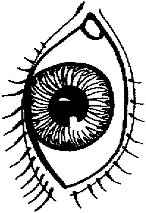 Plansa de colorat cu Biologie 95 72